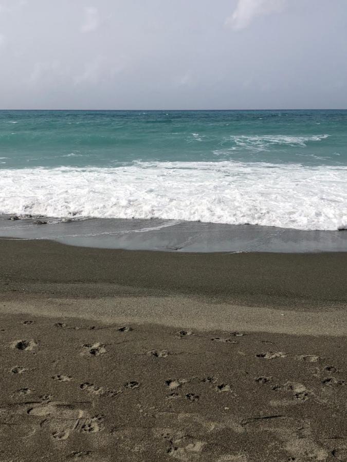 Scarlett Guest House Bull Bay المظهر الخارجي الصورة
