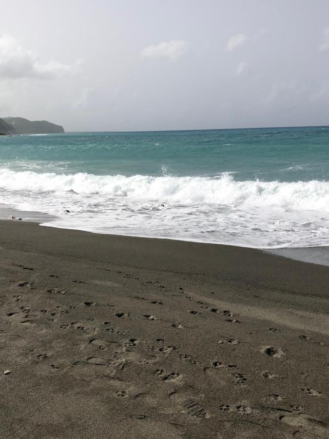 Scarlett Guest House Bull Bay المظهر الخارجي الصورة