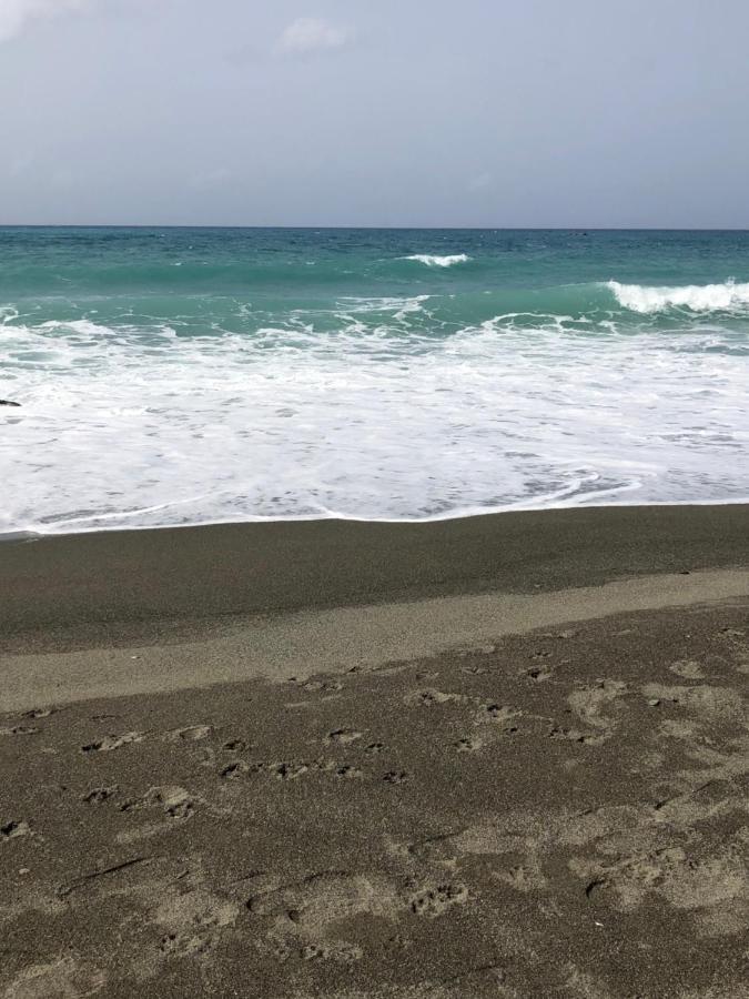 Scarlett Guest House Bull Bay المظهر الخارجي الصورة