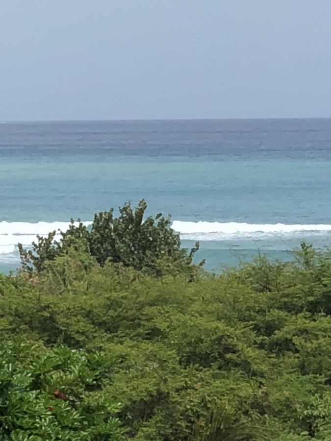 Scarlett Guest House Bull Bay المظهر الخارجي الصورة